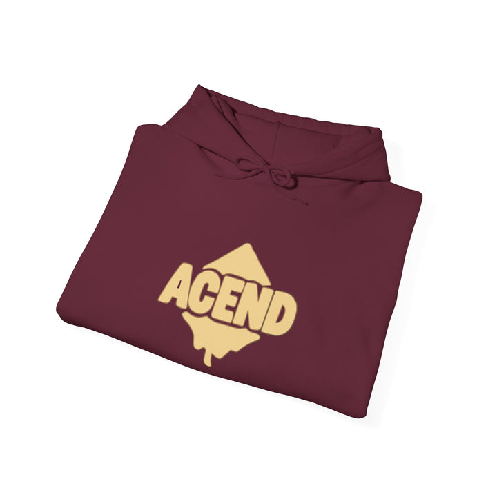 ACEND Drip hoodie